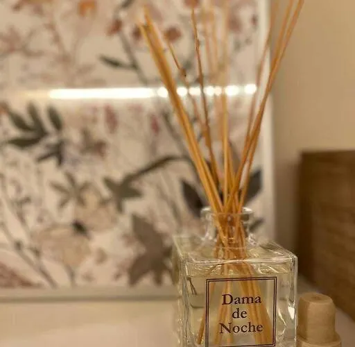 Rincon Acogedor Descubre La Ciudad アパート